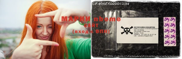 шишки Сясьстрой