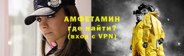 шишки Сясьстрой