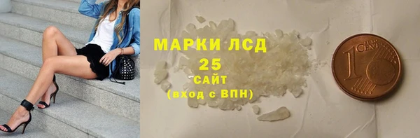 шишки Сясьстрой