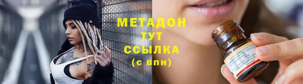 шишки Сясьстрой