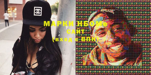 шишки Сясьстрой
