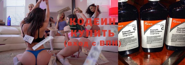 шишки Сясьстрой
